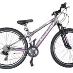 Energy Galaxy 27,5" Γκρι Μωβ