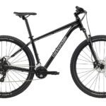 Cannondale Trail 8 29'' Grey