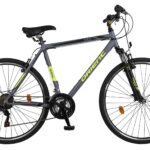 Orient Vita Man 21sp. Grey