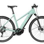 RIESE&MULLER Roadster Mixte Touring Salvia Matt