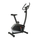 Viking Fancy Ποδήλατο Γυμναστικής