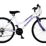 Orient Comfort 26″ lady 21sp. Άσπρο