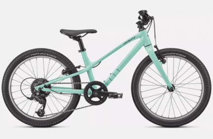Specialized Jett 20 Gloss Oasis / Forest Green