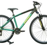Energy Enigma 29" 2025 Forest Green / Yellow V-Brake