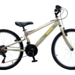 Orient Excel 24” Λαδι