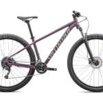 Specialized Rockhopper Satin Cast Lilac Sea 29''