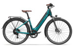 Fiido C11 Pro City E-Bike