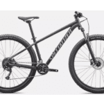 Specialized Rockhopper 29  VN SLT/CLGRY