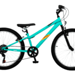 Orient Bro 24'' 7sp Veraman