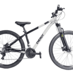 Energy Enigma 29" M-Disc X Light Grey Black Lock Out