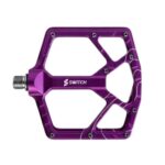 Switch Summit Purple