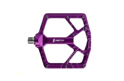 Switch Summit Purple
