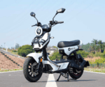 TAILG X51 Lead Acid Ηλεκτρικό Scooter 25km/h
