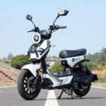TAILG X51 Lead Acid Ηλεκτρικό Scooter 25km/h